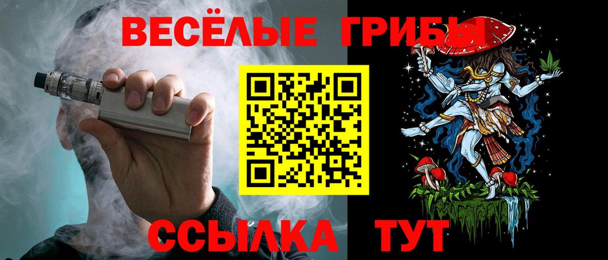 Кирово-Чепецк  Галлюциногенные грибы Psilocybine cubensis  Вход с VPN 